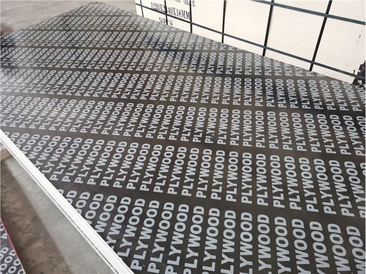Compensato rivestito in pellicola da 16,5 mm