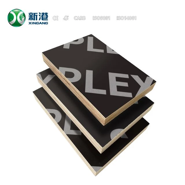 Marine Plywood Flm Faced Plywood 12mm 15mm 18mm Supplier Xingang