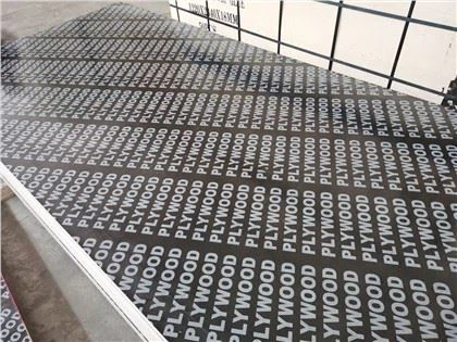 Compensato rivestito in pellicola da 16,5 mm