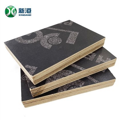 Prezzo economico Eucalypyus Core Film compensato rivestito