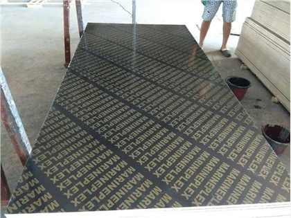Compensato con pellicola di tipo più venduto nel mercato degli Emirati Arabi Uniti
