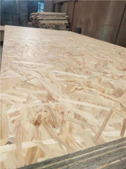 Pannello a trefoli orientato OSB prodotto in Cina