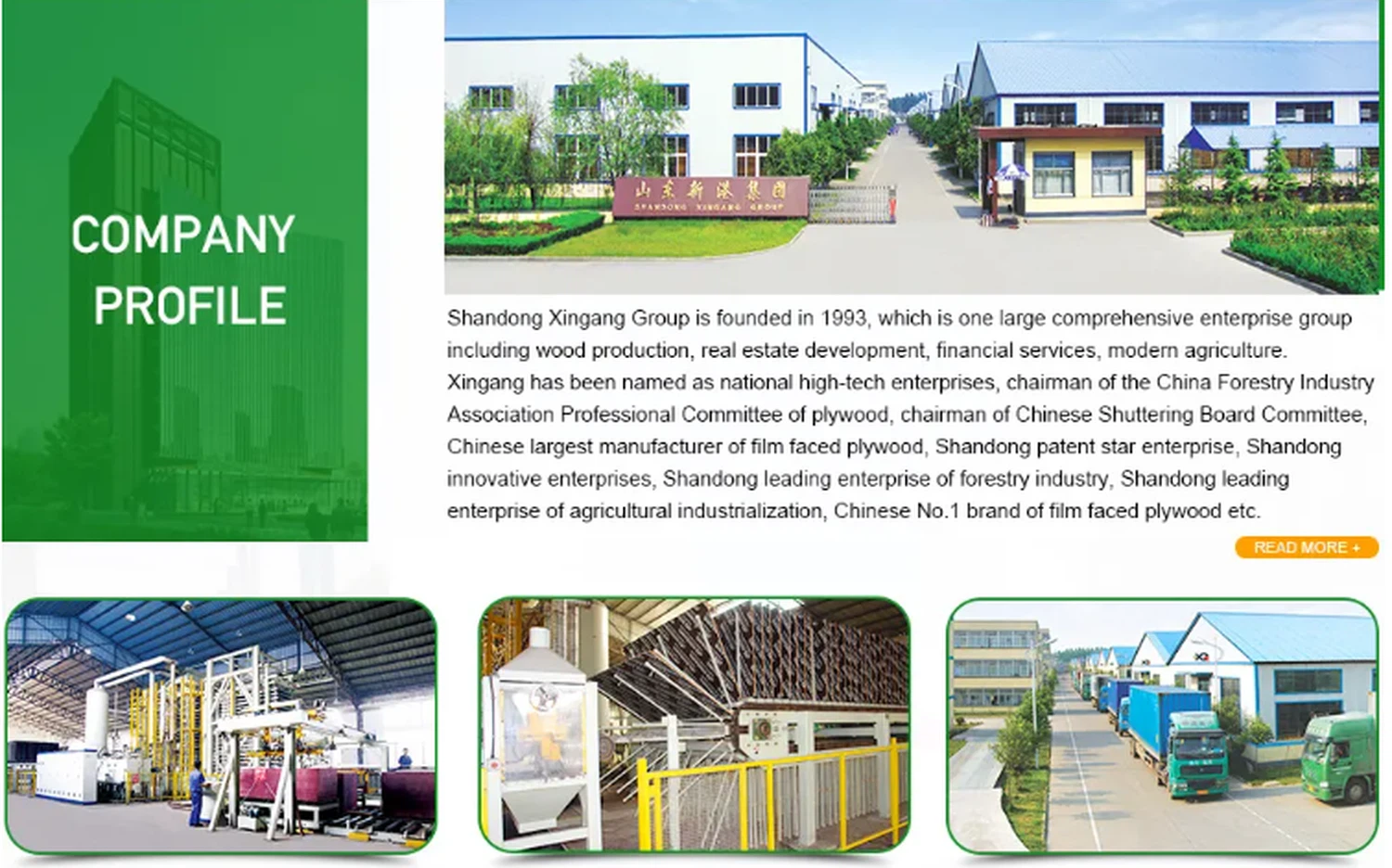 company profile.png company profile.png