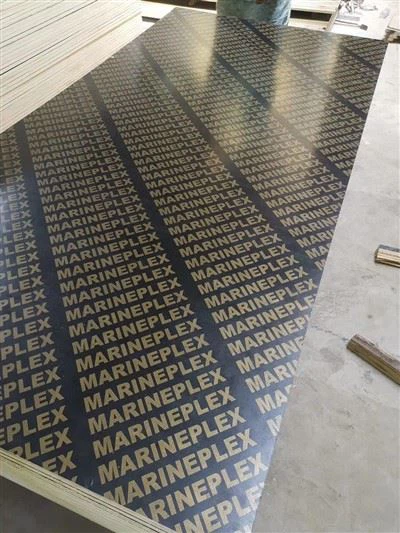 Compensato marino Xingang