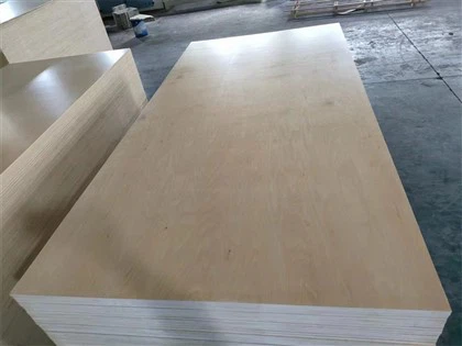 Plywod commerciale innovativo per mobili e design moderni