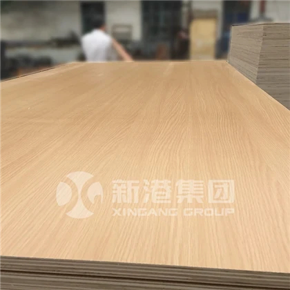 Melamina Plywood 20250219